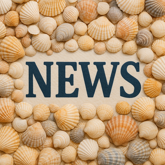 Christmas Market 2025 !